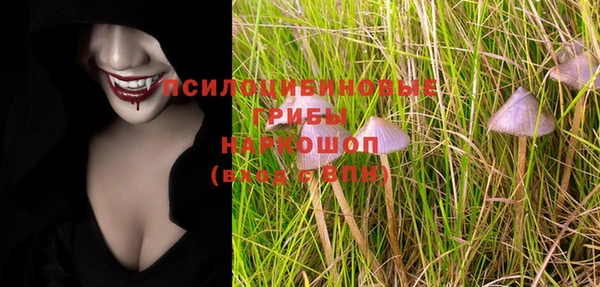 ГАЛЛЮЦИНОГЕННЫЕ ГРИБЫ Кинешма