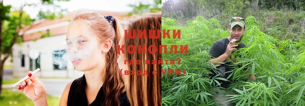 ГАЛЛЮЦИНОГЕННЫЕ ГРИБЫ Кинешма