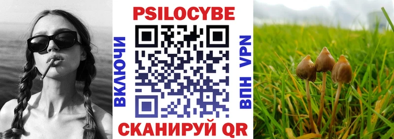 Галлюциногенные грибы Psilocybe Старая Русса