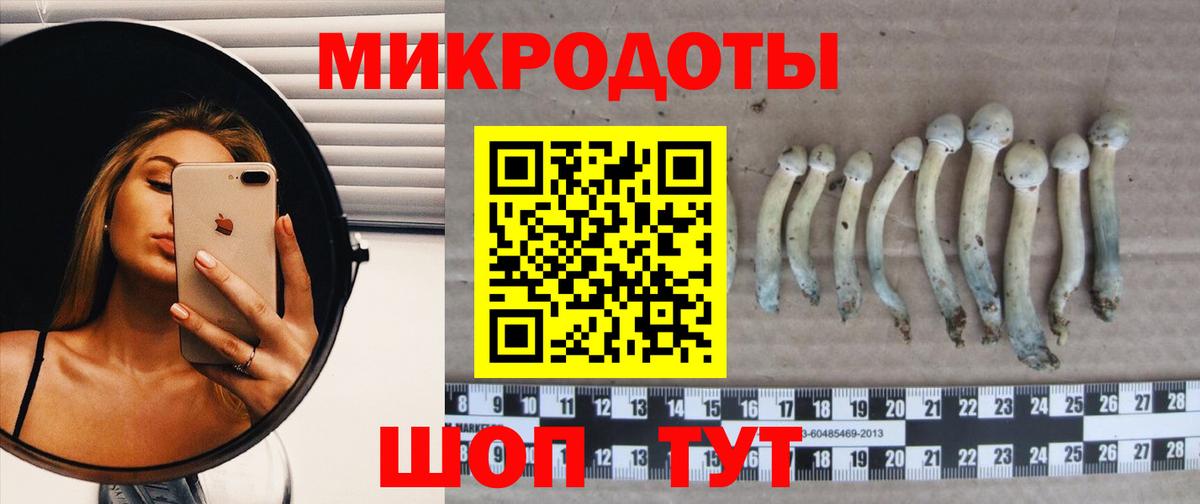 Старая Русса  наркошоп  Вход с VPN  Галлюциногенные грибы прущие грибы  Псилоцибиновые грибы Psilocybe 