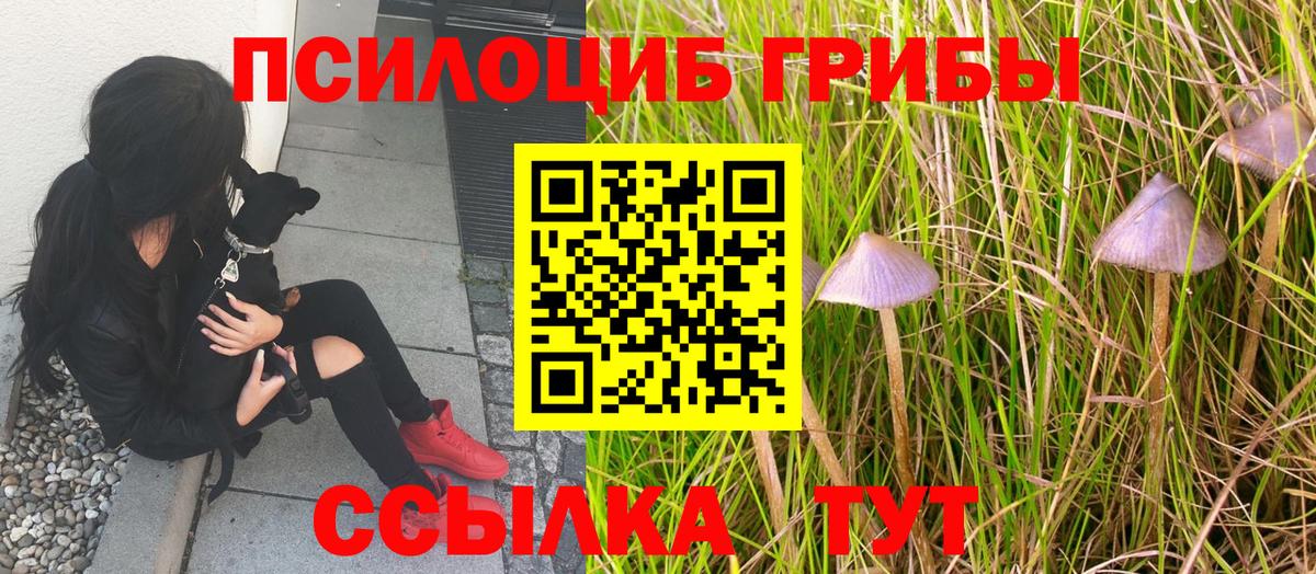 Галлюциногенные грибы MAGIC MUSHROOMS Старая Русса